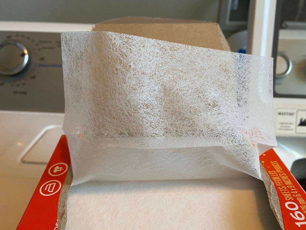 Do Dryer Sheets Keep Bees Away? (Read This First!)