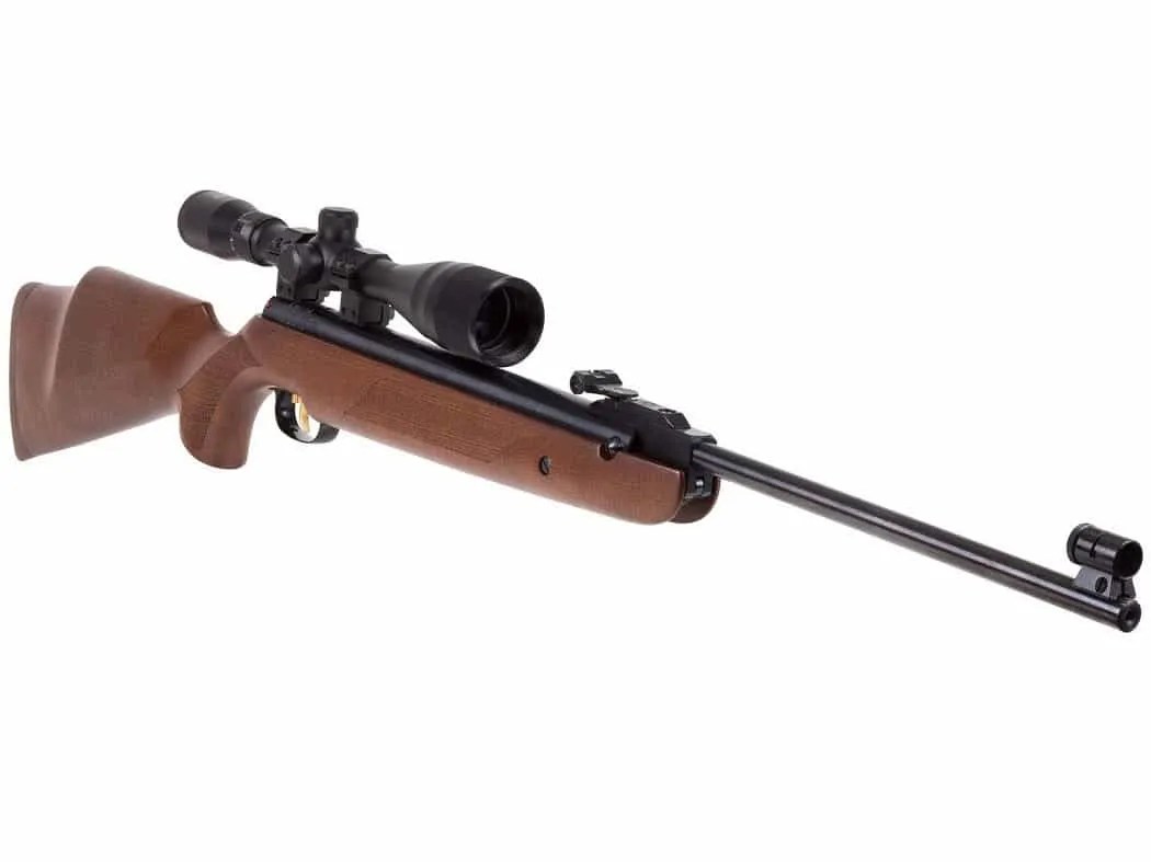What Can You Hunt with a .177 Air Rifle? (Quick Answer!)