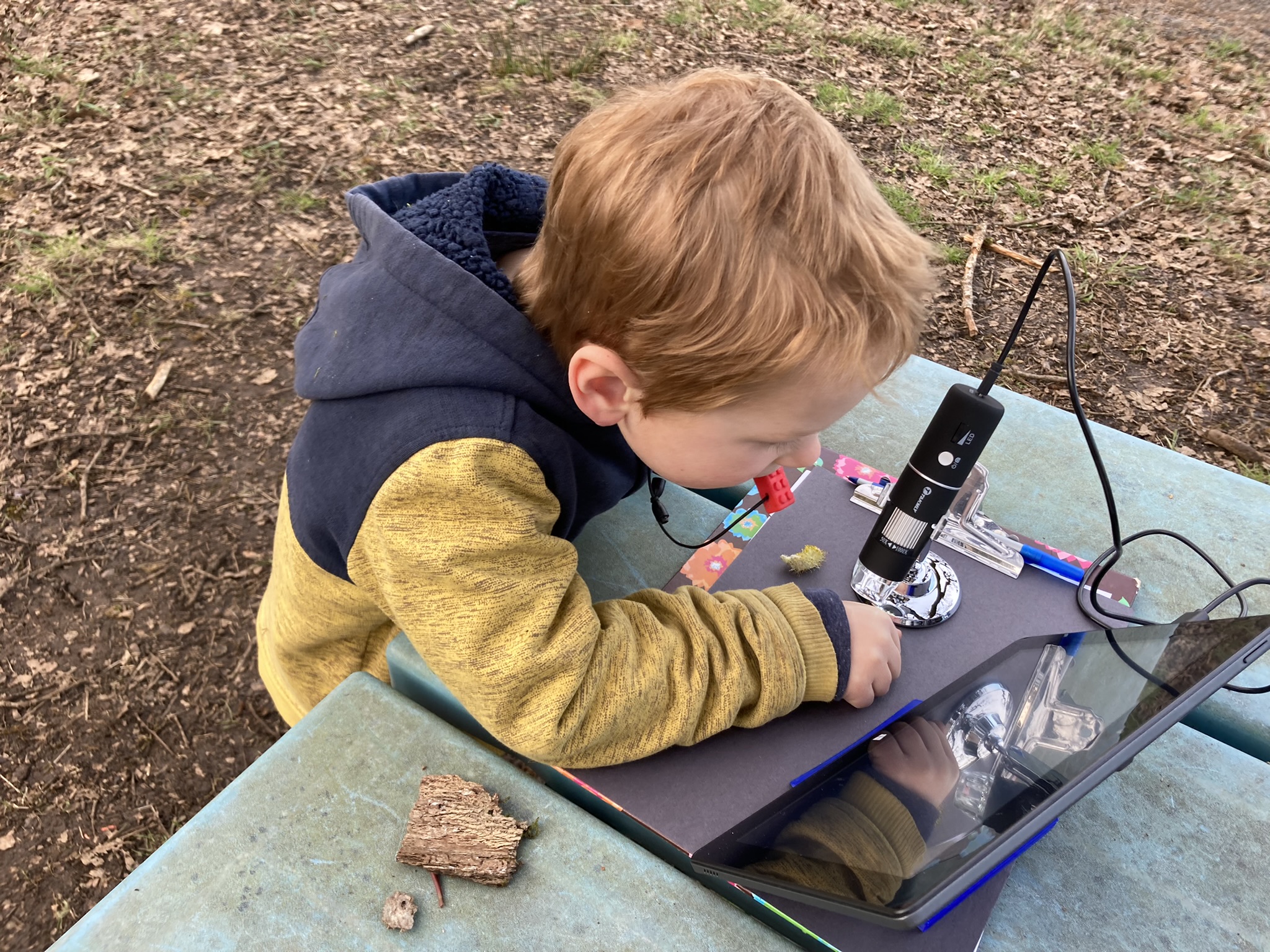 Outdoor Science Explorers After School program Winter 2024