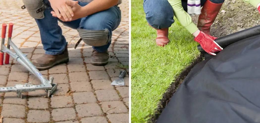 How to Remove Pavers and Replace With Grass 10 Easy Steps (2024)