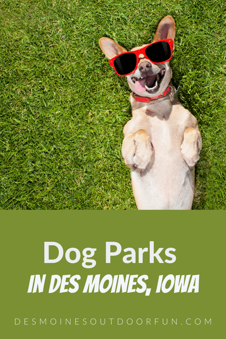 Dog Parks in the Des Moines, Iowa