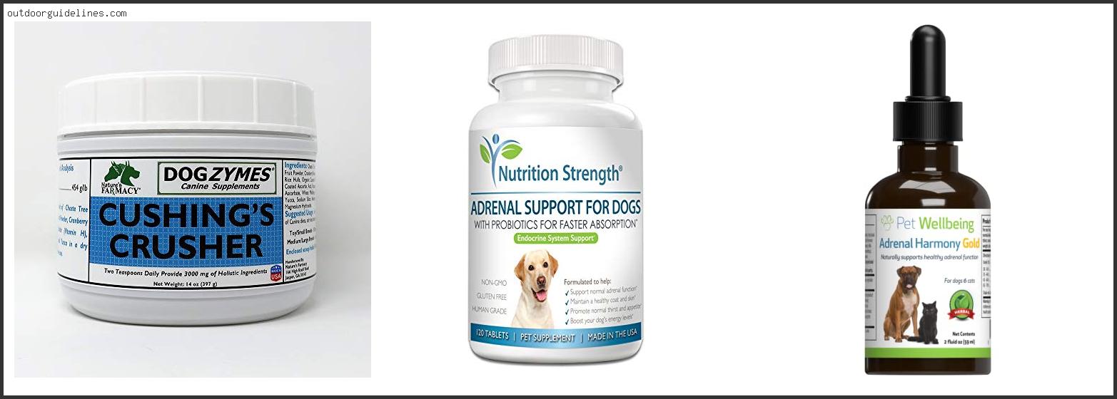 Top 10 Best Dog Food For Dogs With Cushing’s Disease [ 2023 ]