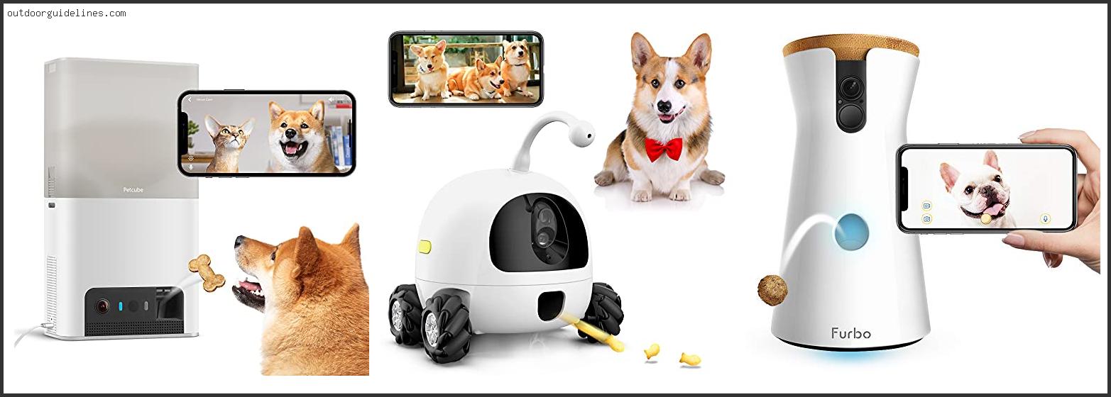 Top 10 Best Dog Camera Treat Dispenser [ 2024 ]
