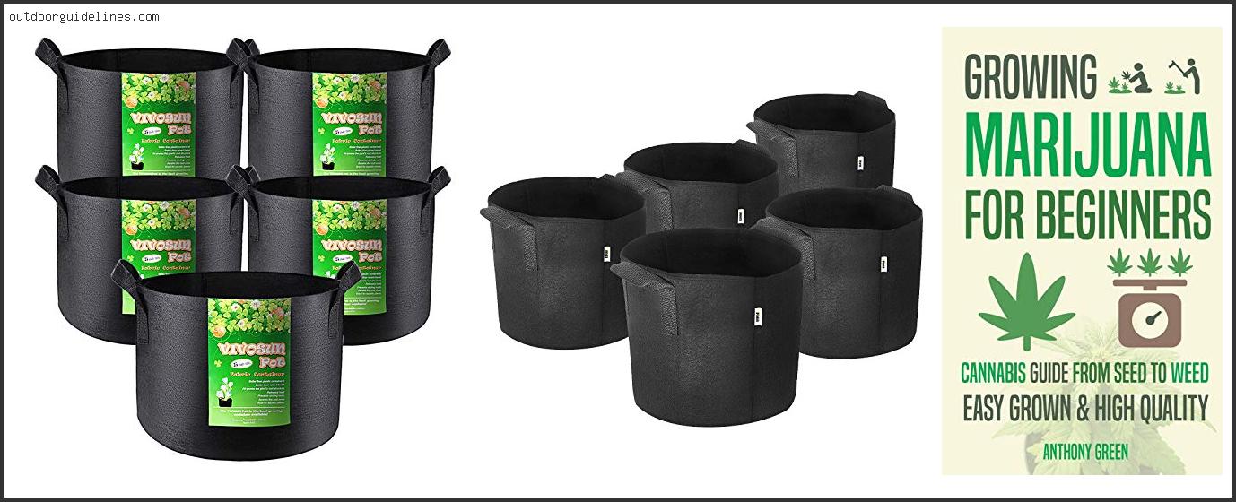 Top 10 Best Pots For Grow Tent [ 2024 ]