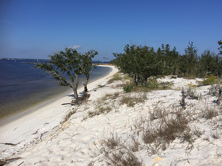 Paddle Deadman's Island in Gulf Breeze Outdoor Gulf Coast of