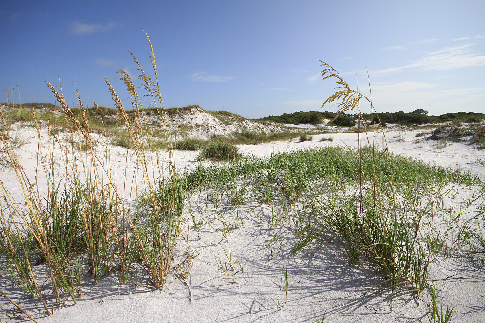 Topsail Hill Preserve State Park Outdoor Gulf Coast of Northwest Florida