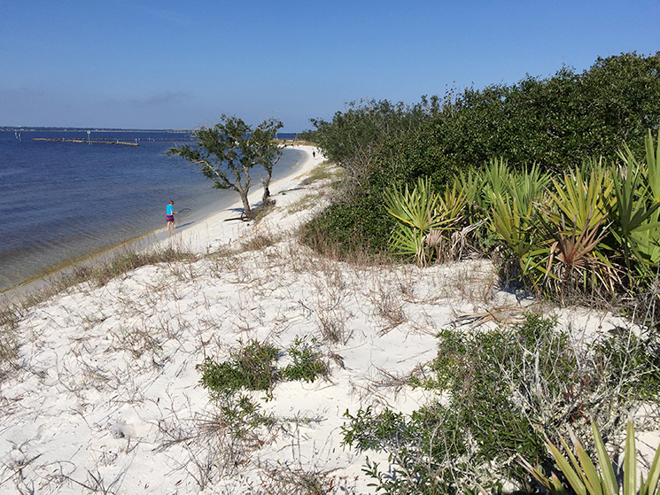 Paddle Deadman's Island in Gulf Breeze Outdoor Gulf Coast of