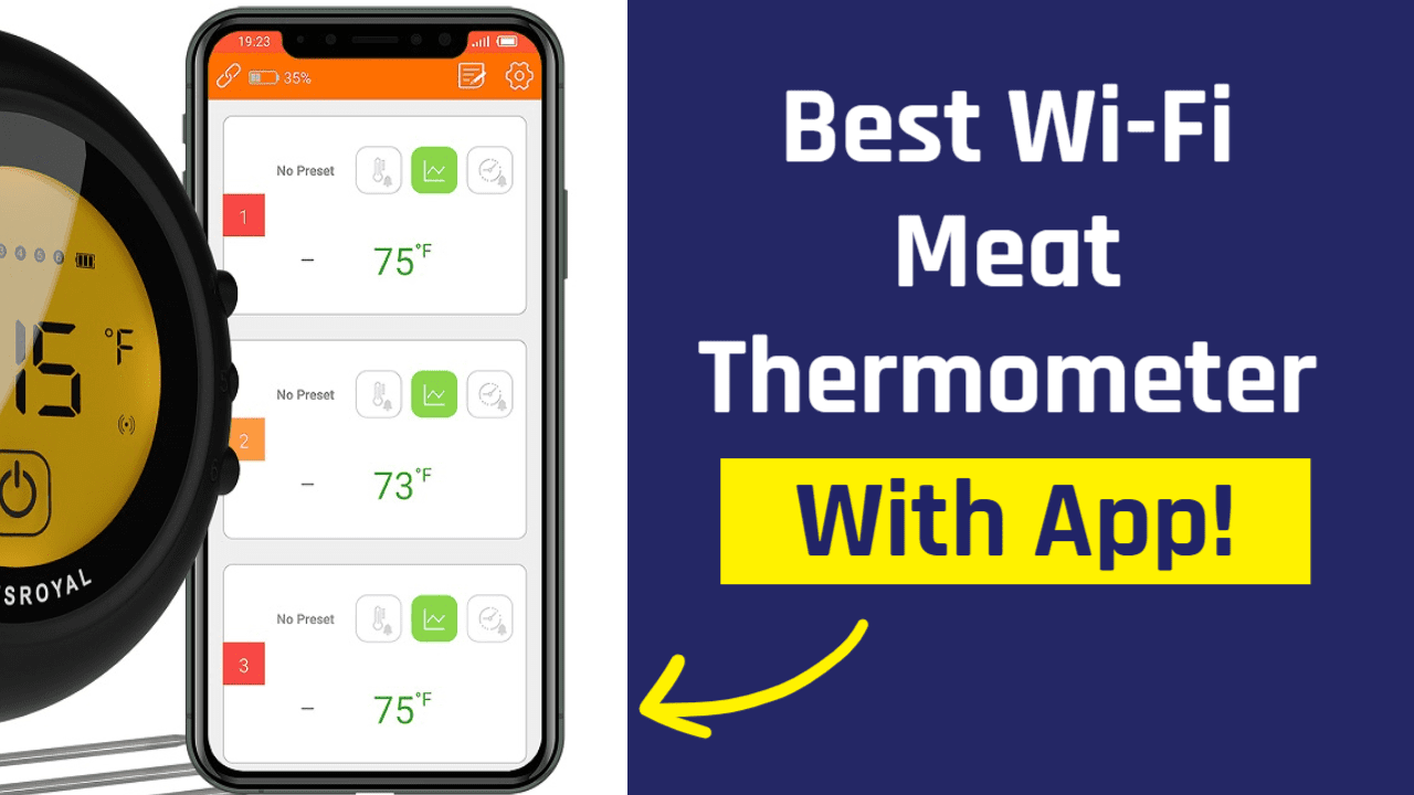 Best WiFi Meat Thermometer With App The 5 Best Options