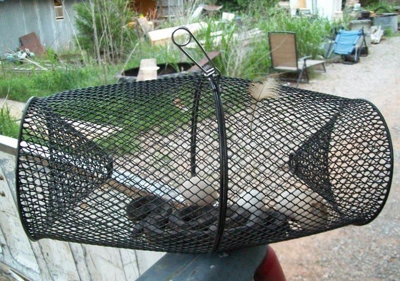 How To Make A Snake Trap With Basic Supplies?