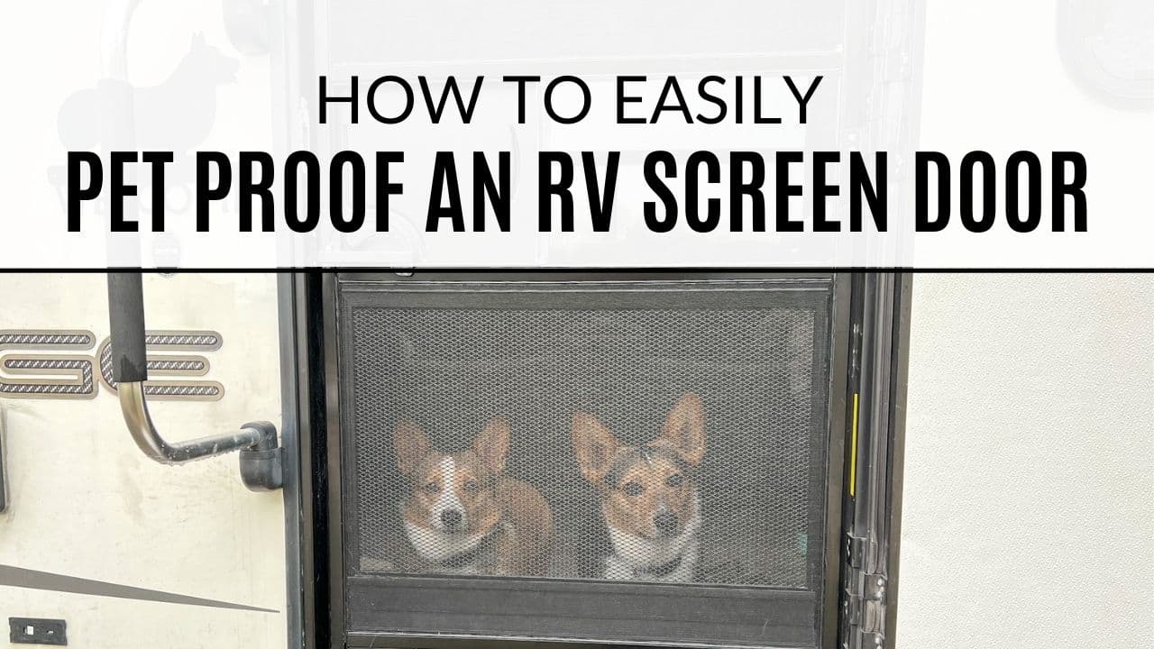How to Easily Pet Proof Your RV Screen Door Outdoorish