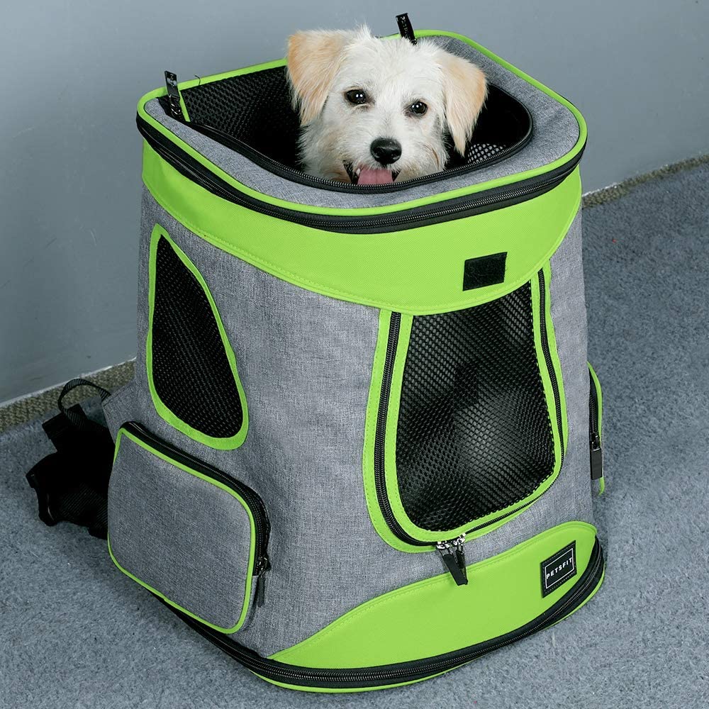 Best Dog Backpack Carriers for Hiking Outdoorish