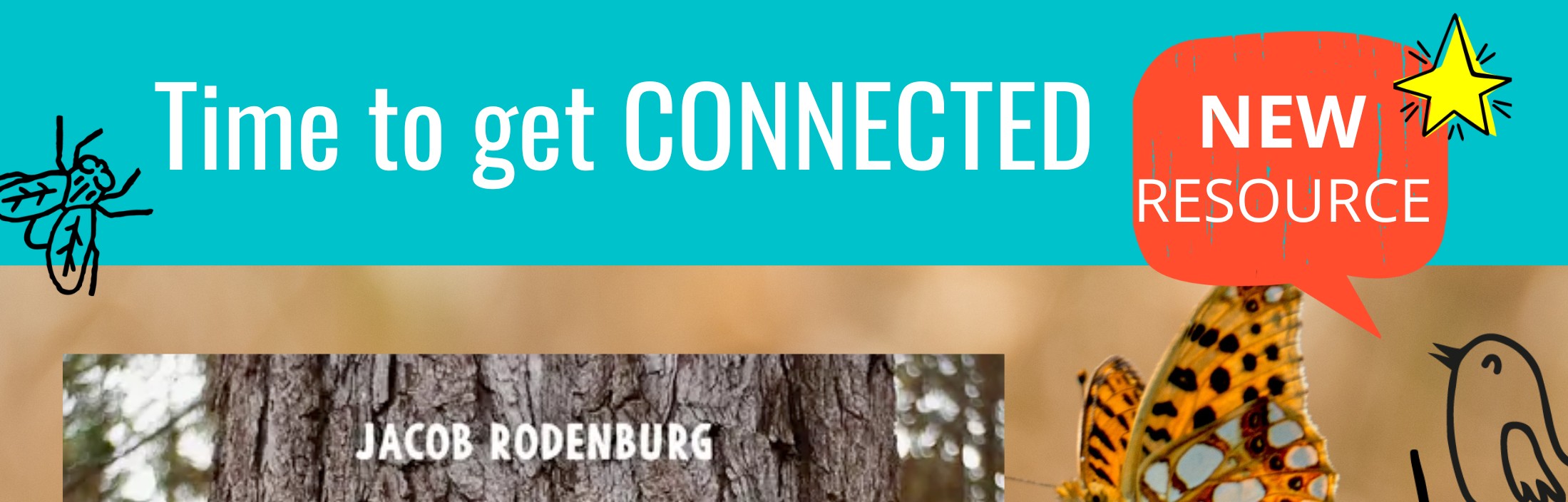 New Release The Book of Nature Connection Outdoor Learning School