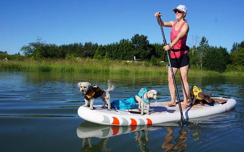 Dog PaddleBoard Best Paddle Board for Dogs 2023