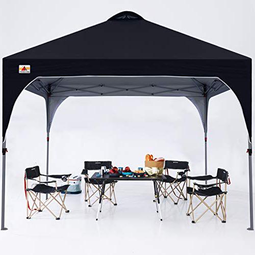 The Best Canopy Tent for Wind of 2021 OutdoorMiks