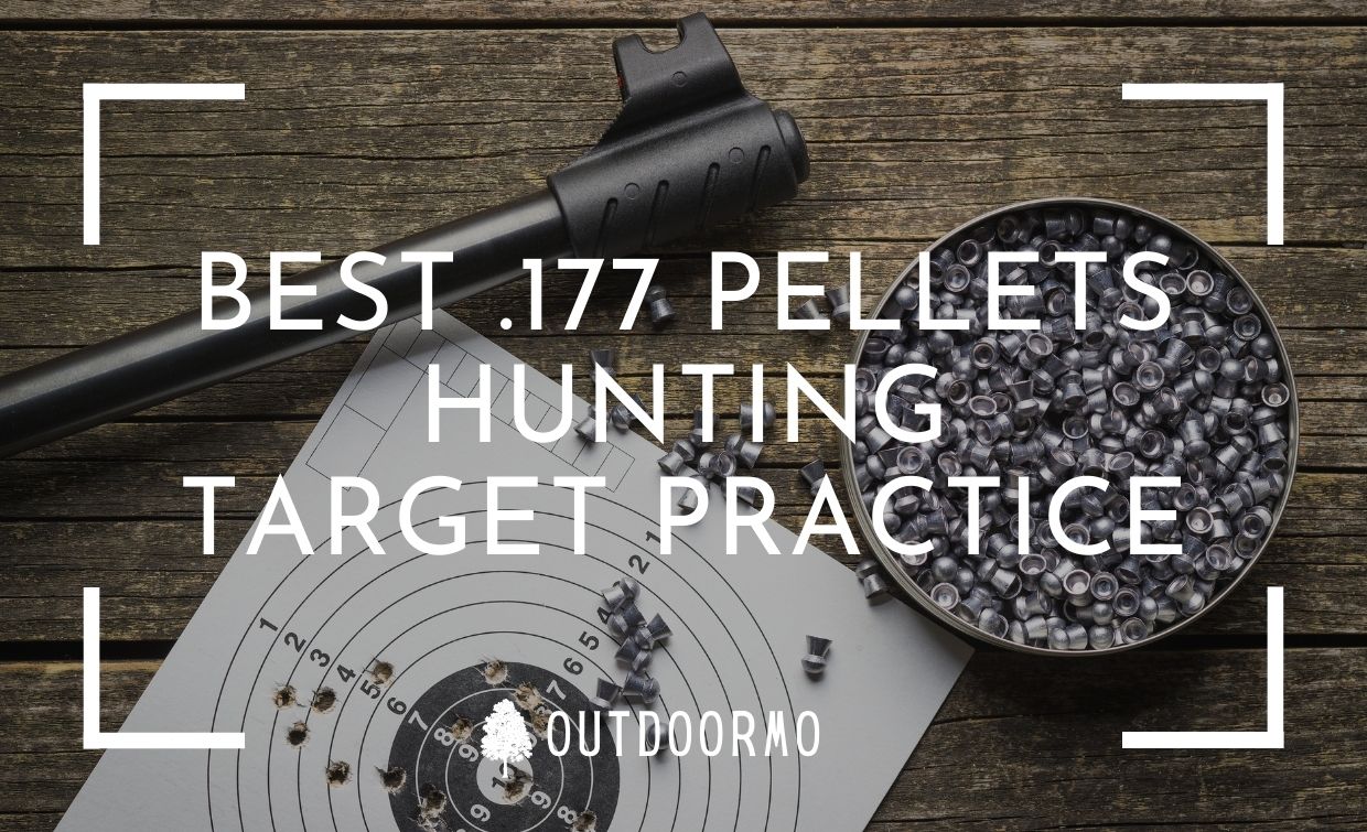 Best .177 Pellets For Hunting With Accuracy Top 10 Reviewed