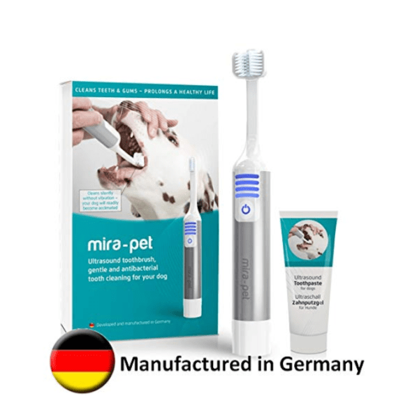 Best Electric Toothbrushes on the Market [ Detailed Guide ]