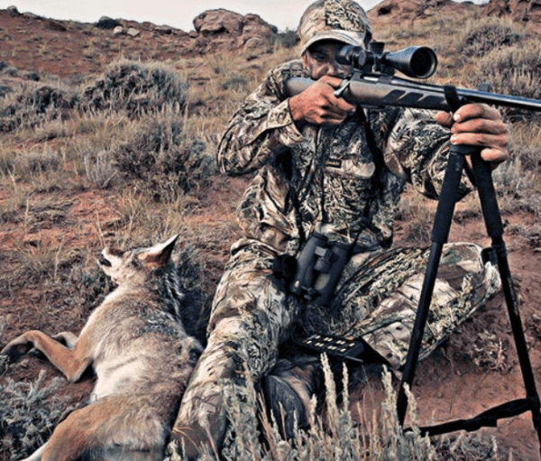 Best Binoculars for Coyote Hunting / Top Hunting Binoculars