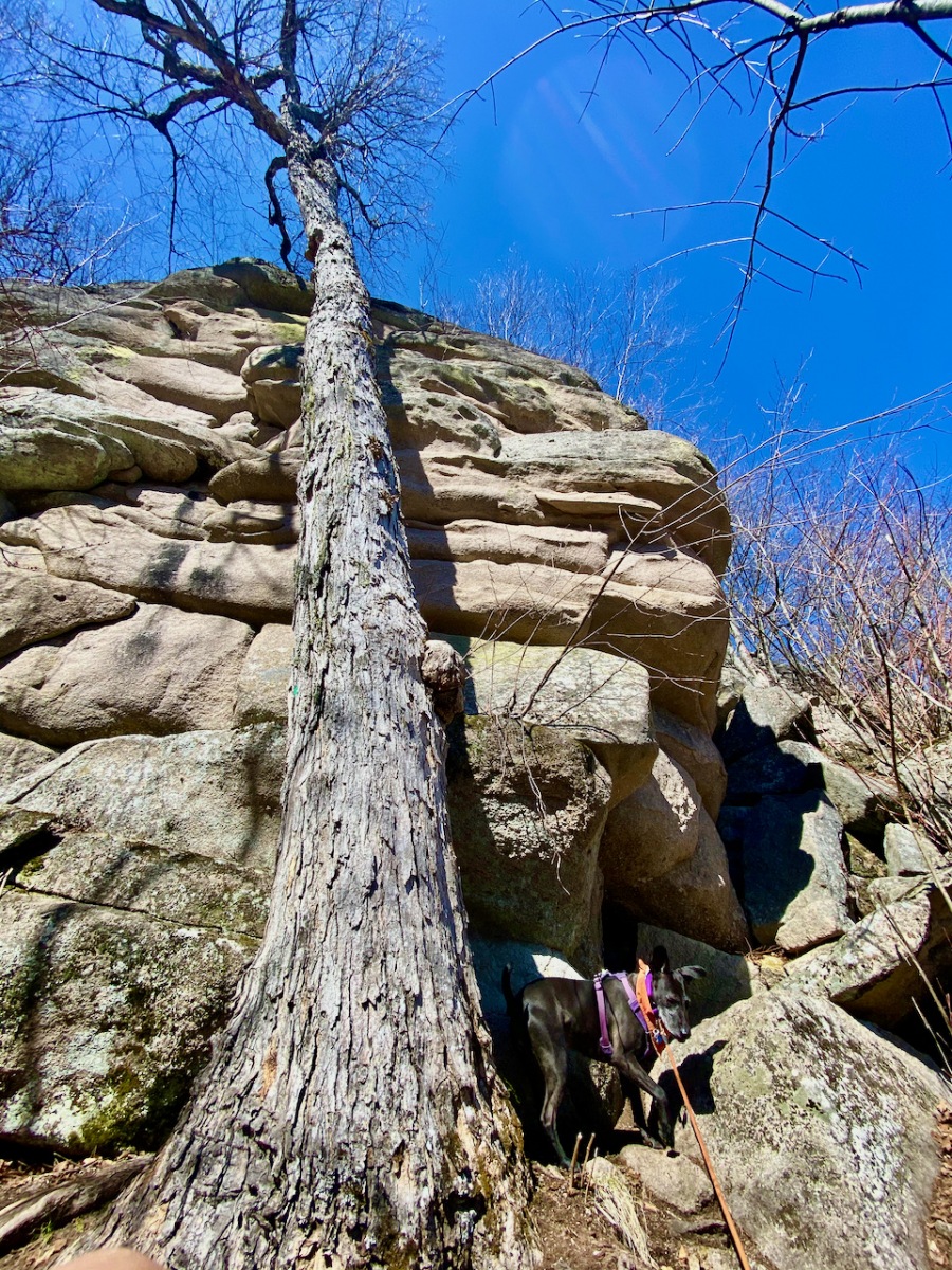 Exploring the Devils Den in New Durham Outdoor Odyssey