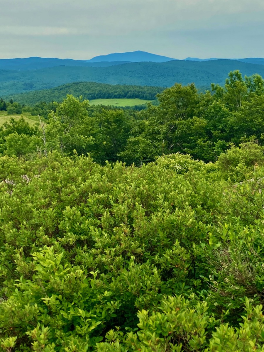 Pitcher Mountain Outdoor Odyssey