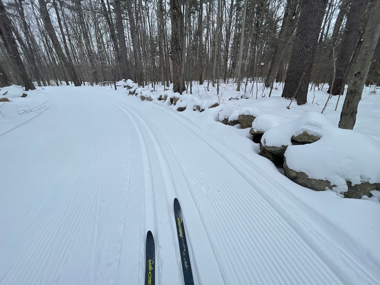 Wolfeboro Sewall XC Trails Loop Outdoor Odyssey