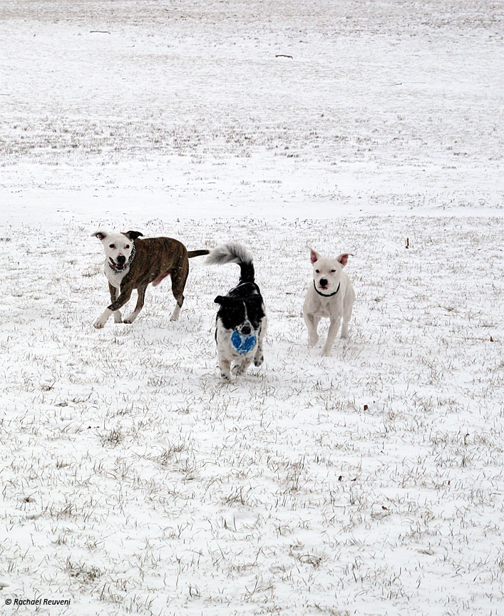 prospect park Take a deep breath & take in some Outdoorphins...