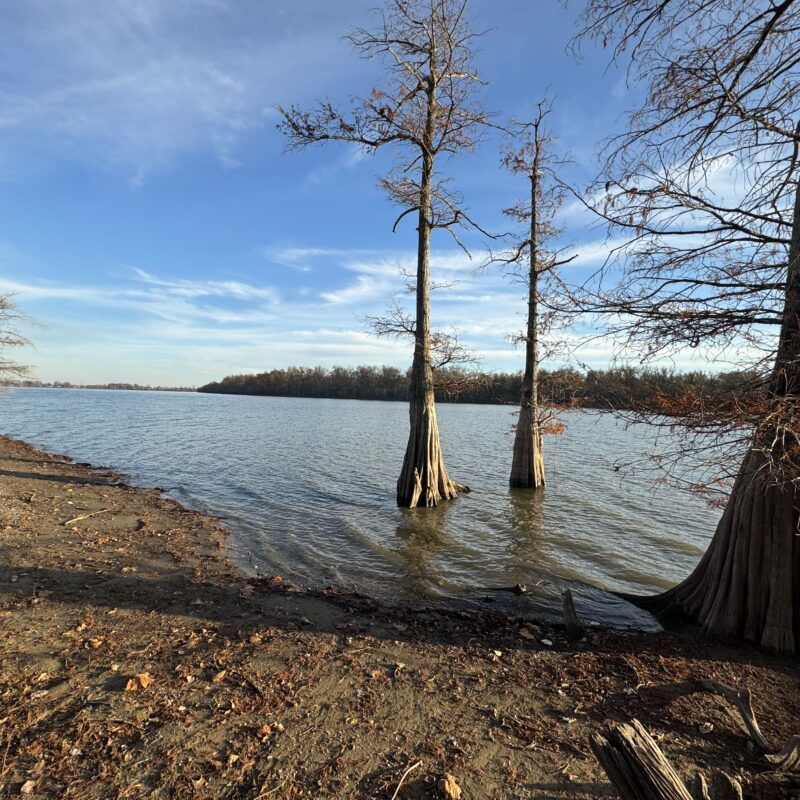 Two Waterfront Lots for Sale at Moon Lake, MS 125,000 per Lot