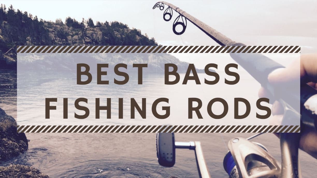Best Bass Fishing Rods of 2020 Top 8 Reviews & Guide