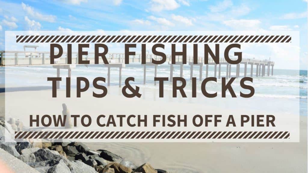 Pier Fishing Tips & Tricks How to Catch Fish off a Pier