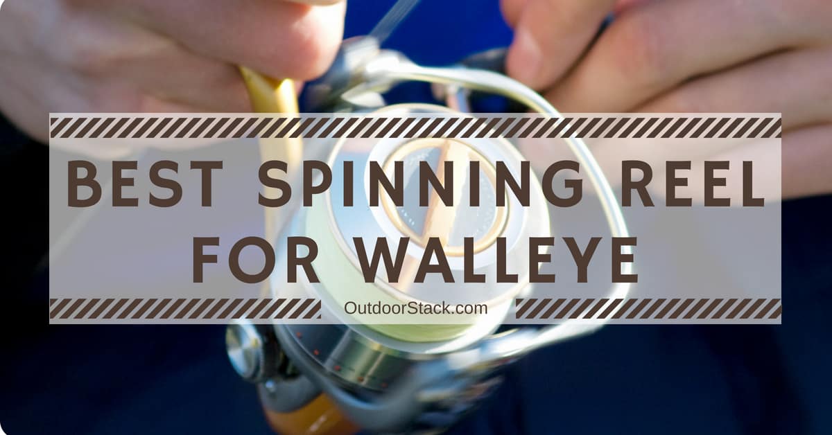 8 Best Spinning Reel for Walleye (September 2024) OutdoorStack
