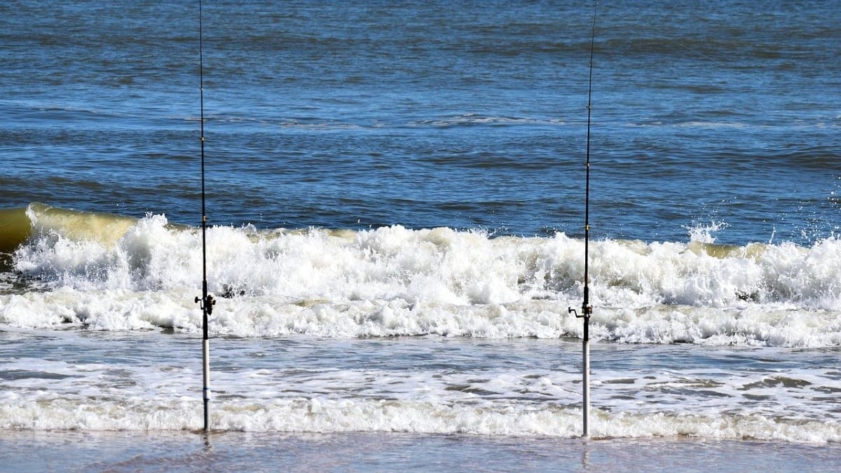 8 Best Surf Fishing Rods of 2024 [Reviews and Buying Guide]