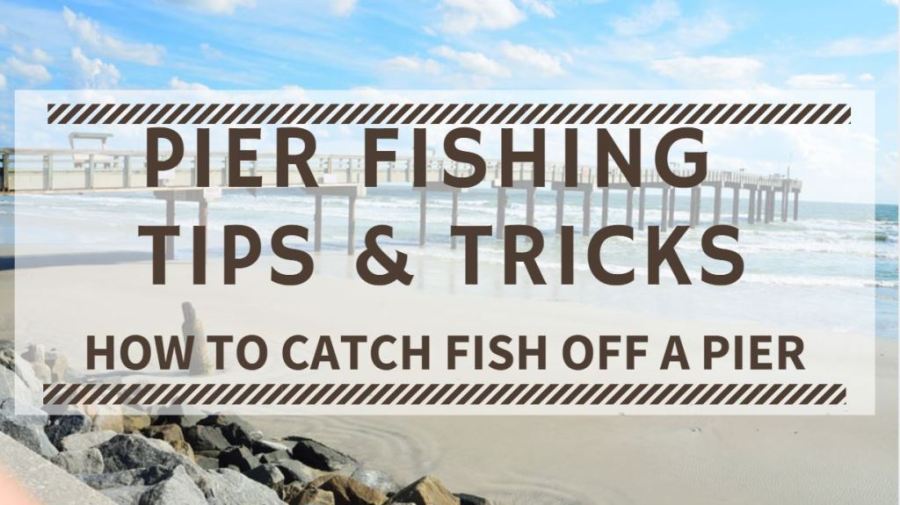 Pier Fishing Tips & Tricks How to Catch Fish off a Pier OUTDOORSTACK