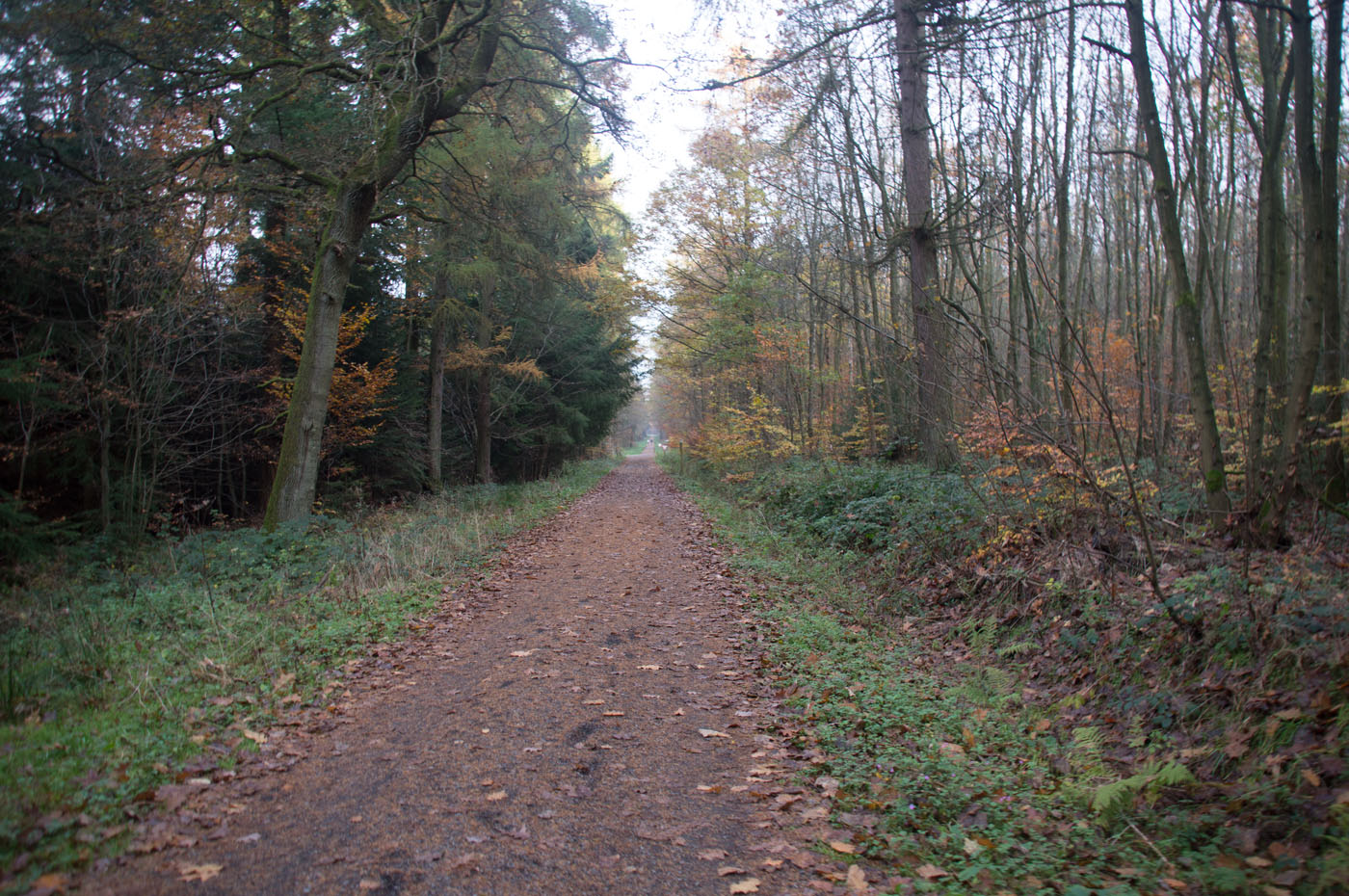 Alter Postweg OutdoorSucht