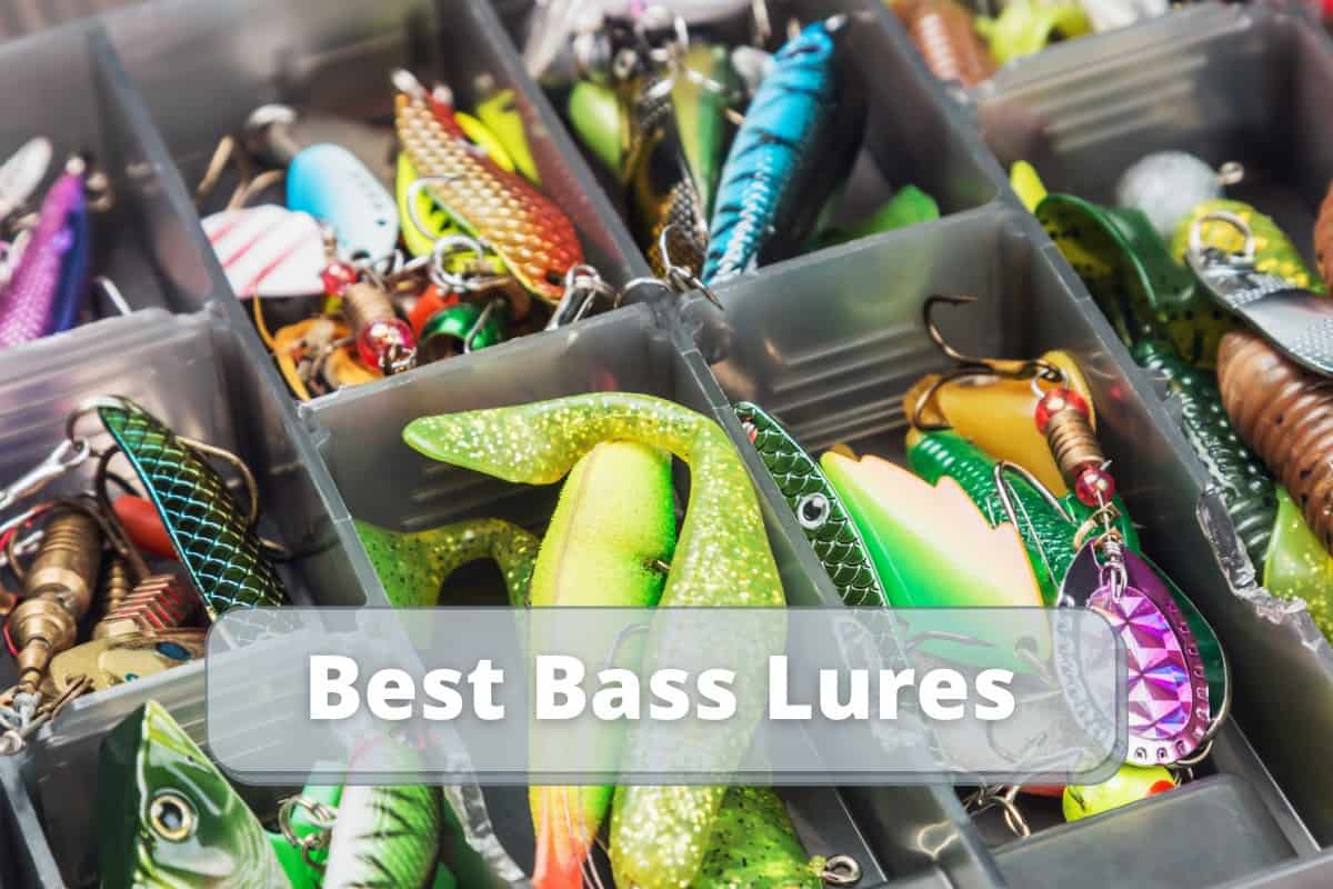 Best Fishing Gear Outdoor Troop