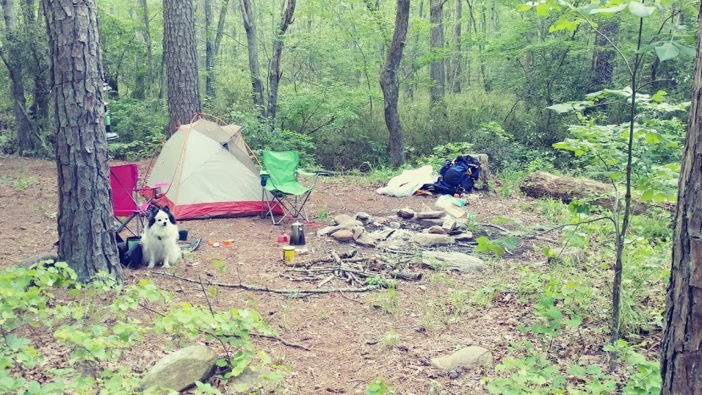 25 Best Places to Camping in Alabama in 2022