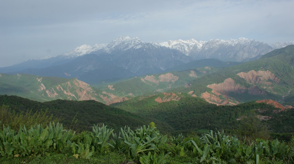 SONY DSC Outer Boundaries