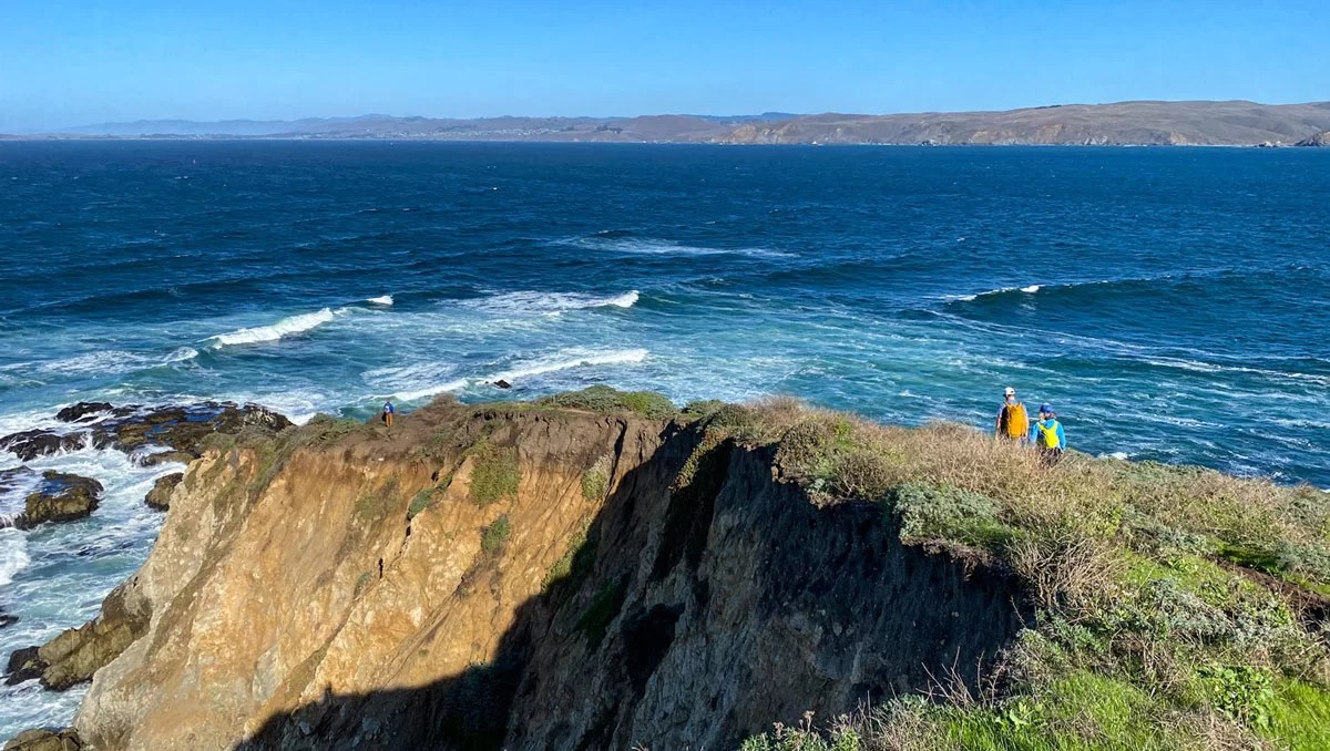 Hiking the Tomales Point Trail a Complete Guide to the Wild Beauty of the Bay Area’s Point Reyes