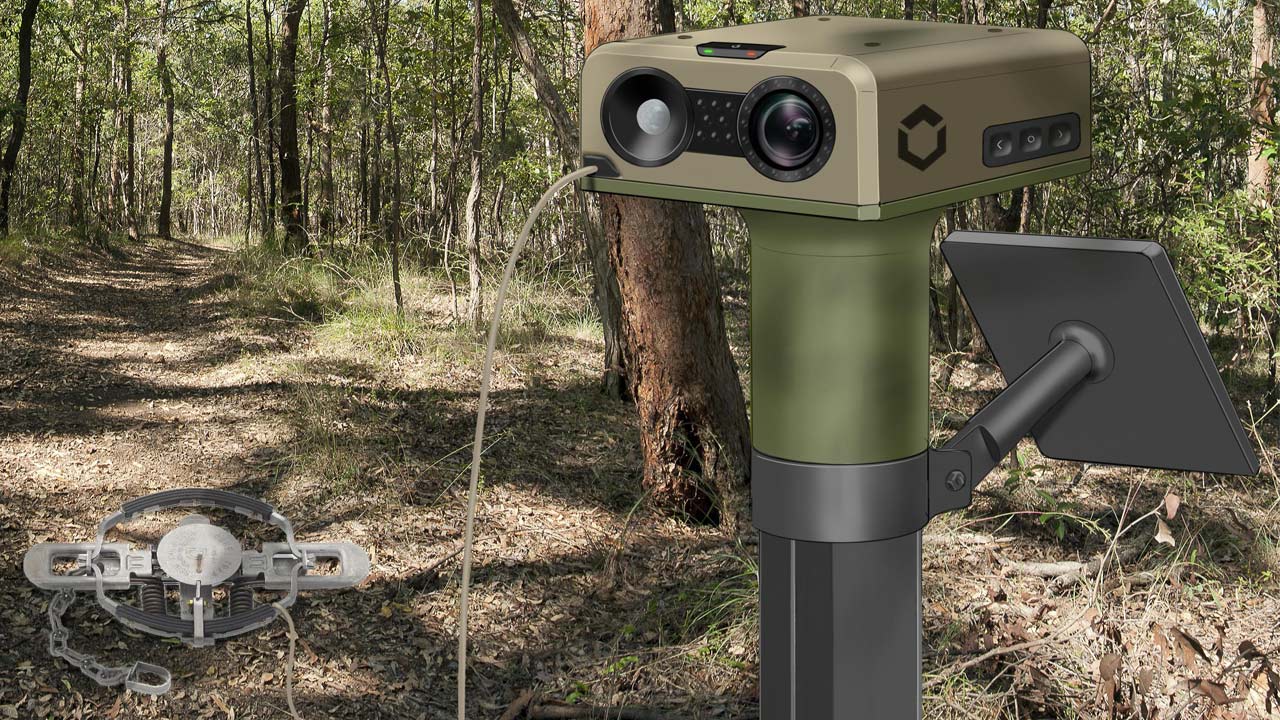 animal detection system outerspace design