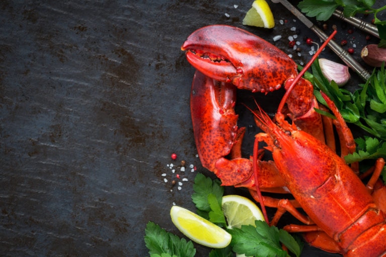 How Long Do Lobsters Live Immortal or Just LongLived?