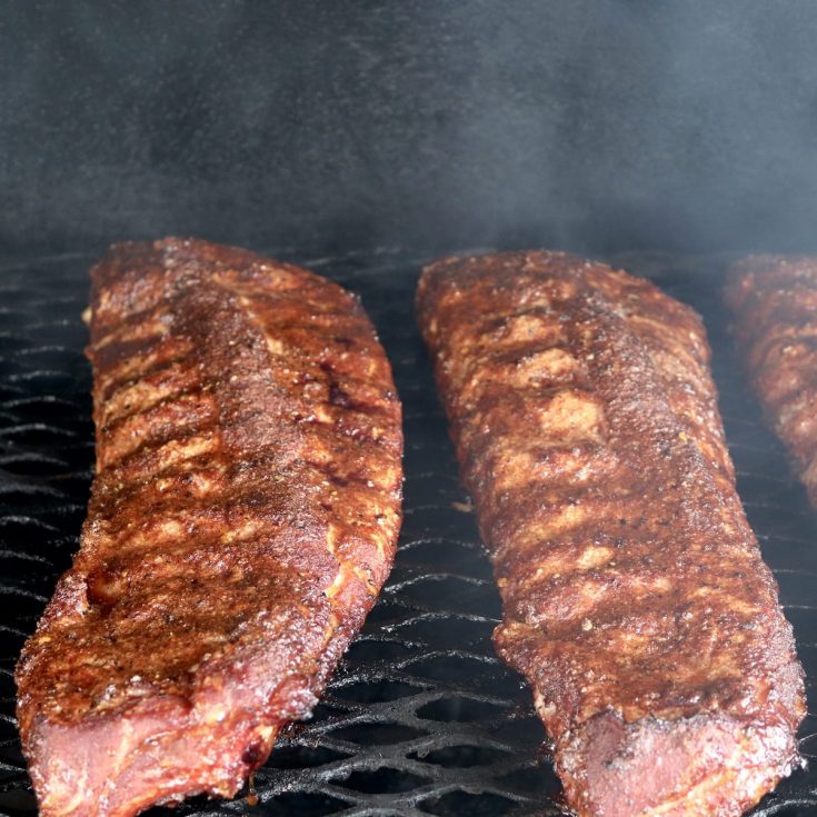 Baby Back Ribs with Brown Sugar Dry Rub Out Grilling
