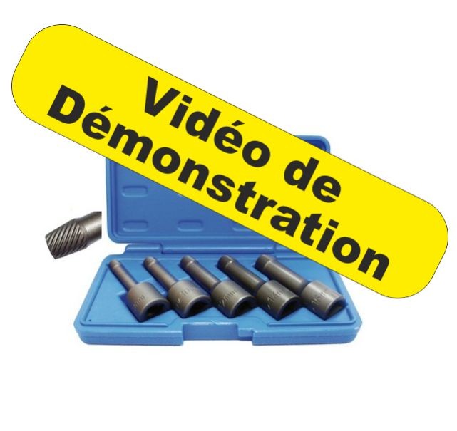 Extracteur Ecrou Boulons Torx 6 Pans Abime Casse Use