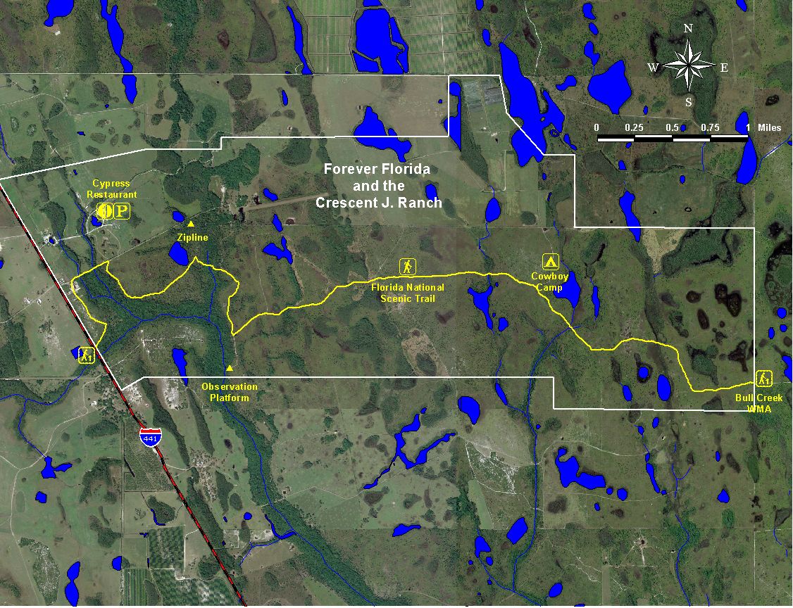 Forever Florida and the Crescent J Ranch