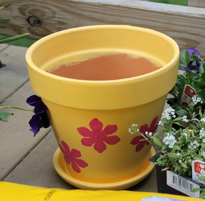 How to Plant Beautiful & Full Flower Pots