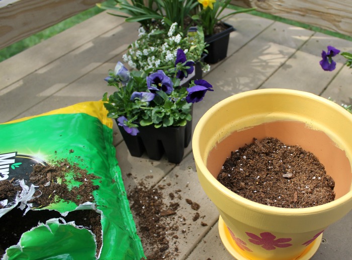 How to Plant Beautiful & Full Flower Pots