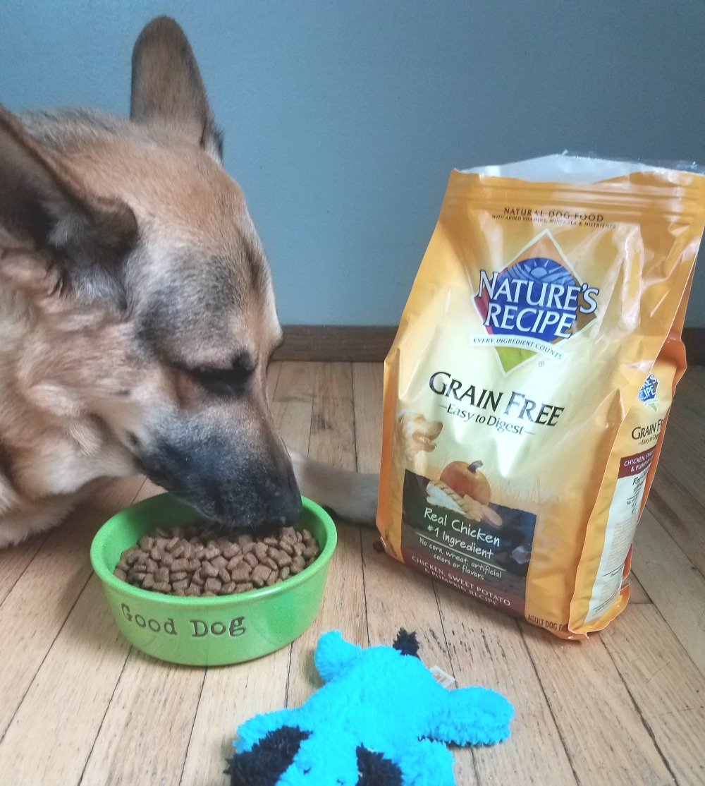 Super Easy Homemade Dog Paw Protection Wax Outnumbered 3 to 1