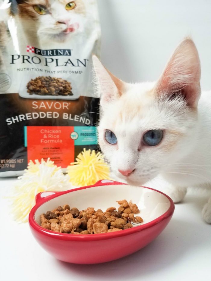 Purina Cat Chow Indoor Formula Printable Coupons