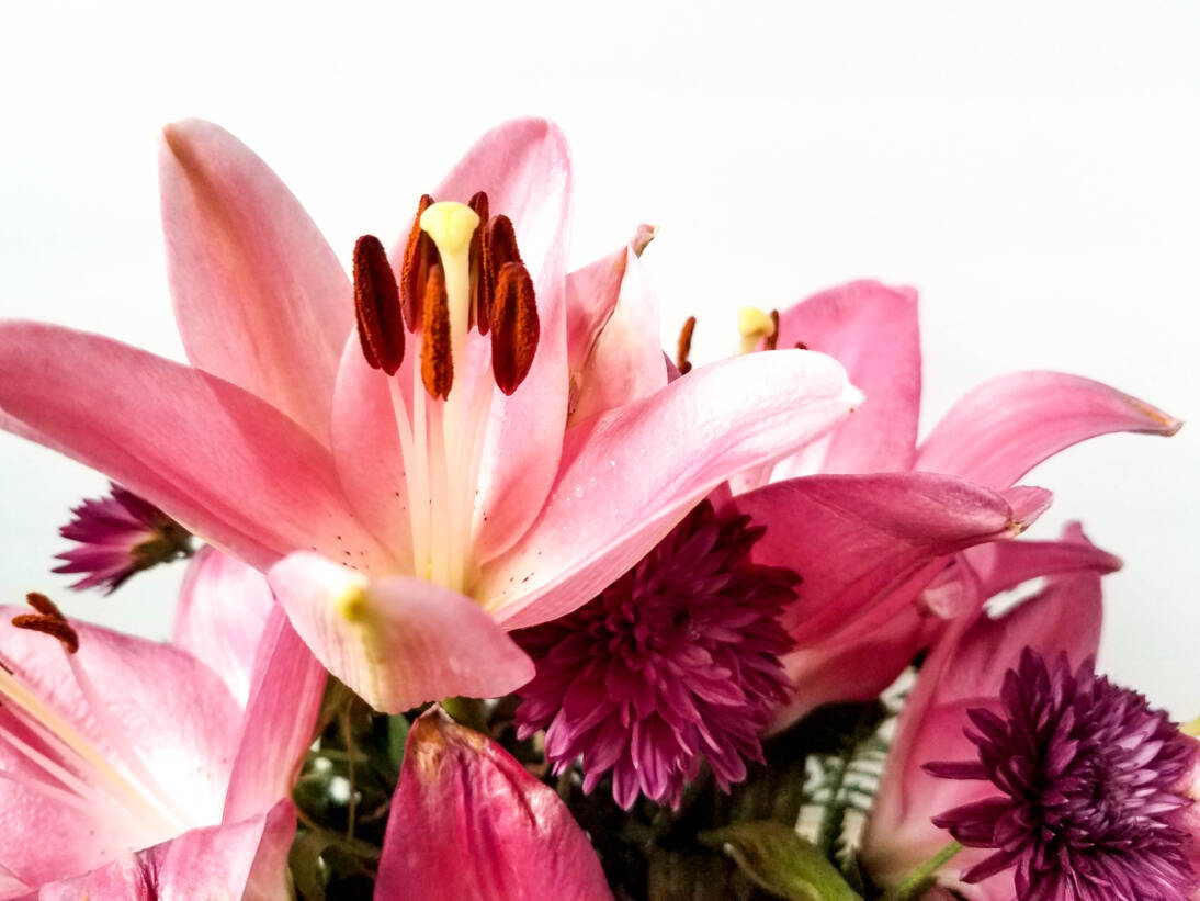 Teleflora Mothers Day Bouquets Will Make Mom Smile Outnumbered 3 to 1