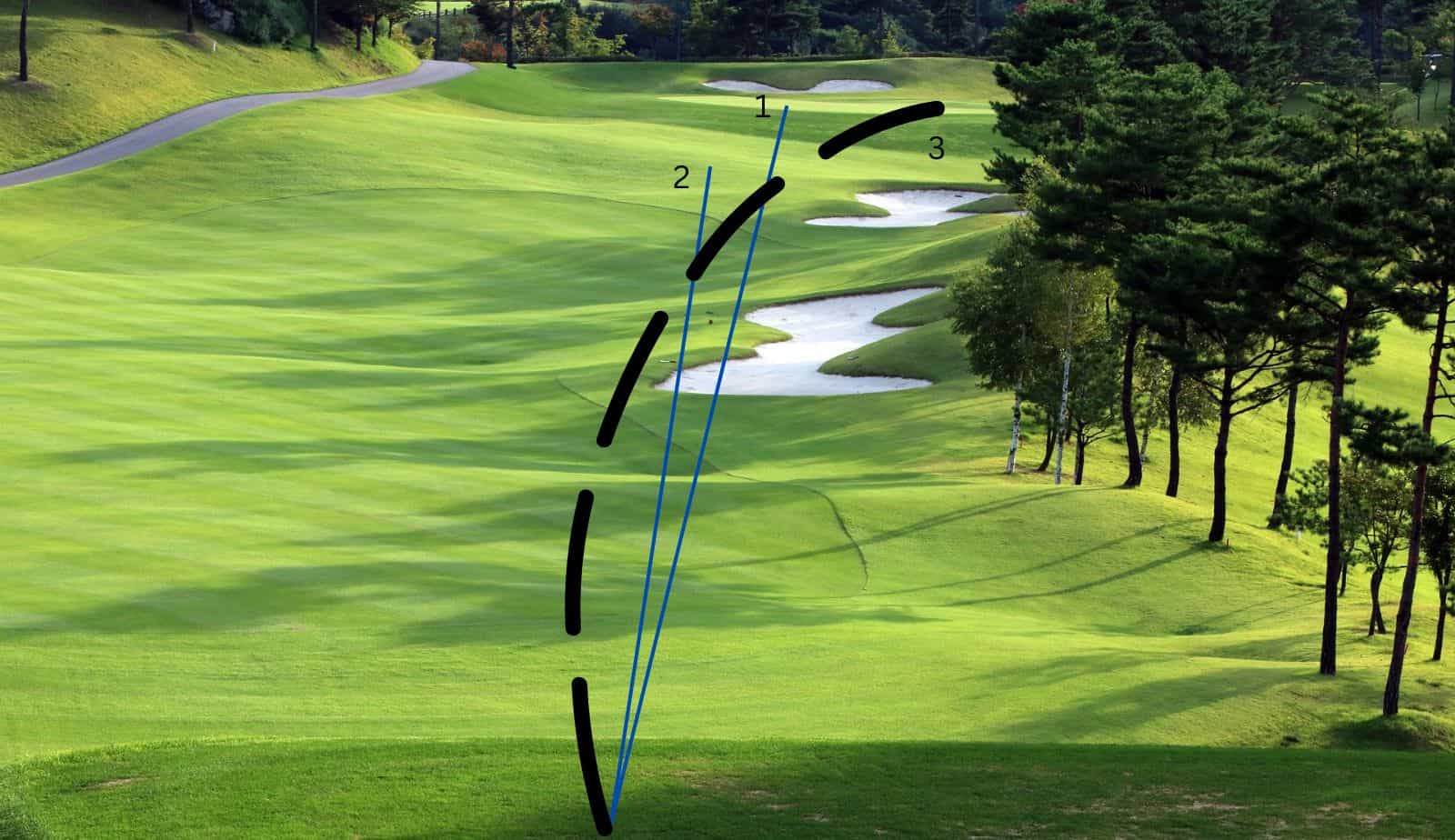 5+ Reasons Golfers Curve The Ball (And How To Do It)