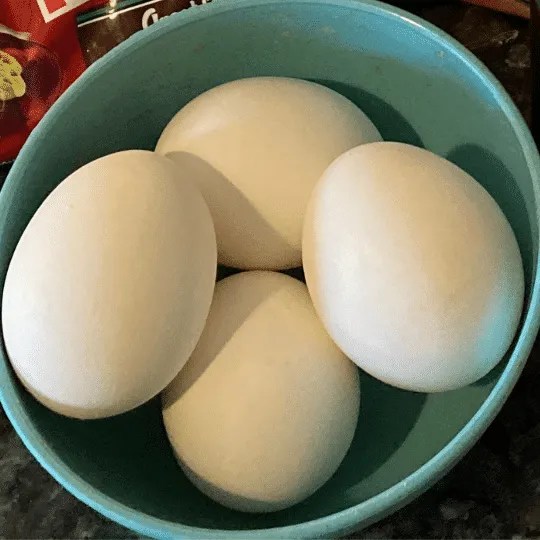 20 Easy Egg Substitutes Out of the Box Baking