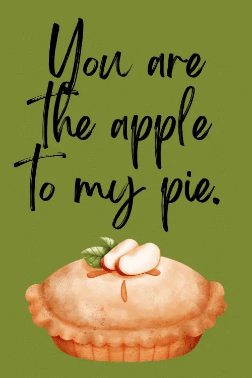 50 Fabulous Pie Quotes Out of the Box Baking