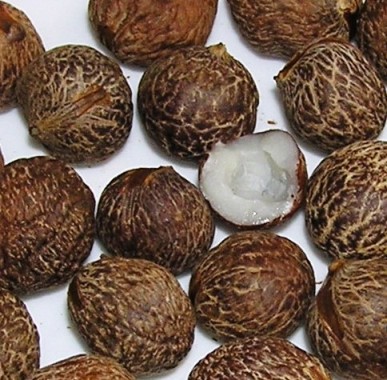 Nupur S A Z Of Indian Vegetables H Is For Hyacinth Beans Out Of